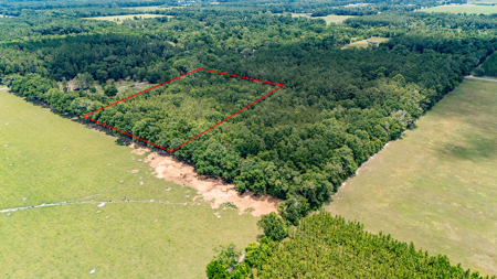 5 Acres of Vacant Land For Sale in Trenton, FL - image 3