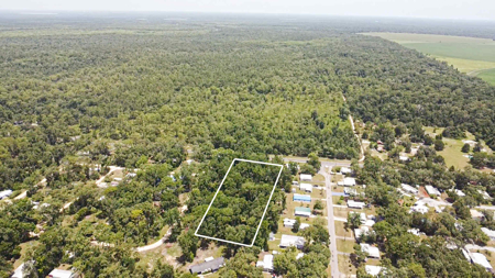 Vacant Land For Sale - Chiefland Florida - Near Suwannee River - image 2