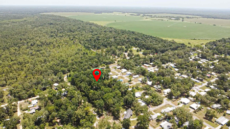 Vacant Land For Sale - Chiefland Florida - Near Suwannee River - image 4