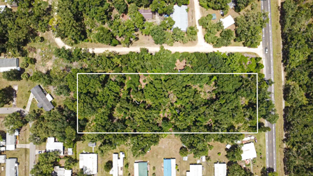 Vacant Land For Sale - Chiefland Florida - Near Suwannee River - image 3