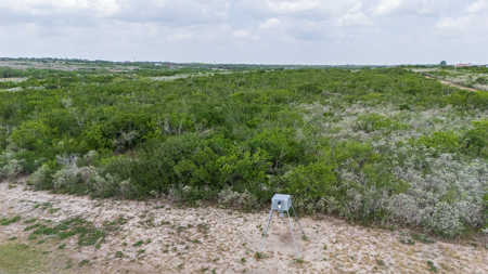 Secluded 60 Acres | Barn, RV Hookups, Hilltop & Wildlife - image 31