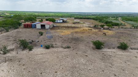 Secluded 60 Acres | Barn, RV Hookups, Hilltop & Wildlife - image 14