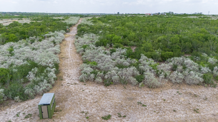 Secluded 60 Acres | Barn, RV Hookups, Hilltop & Wildlife - image 32