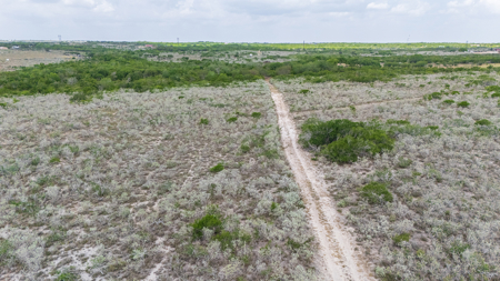 Secluded 60 Acres | Barn, RV Hookups, Hilltop & Wildlife - image 12