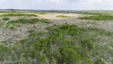 Secluded 60 Acres | Barn, RV Hookups, Hilltop & Wildlife - image 13