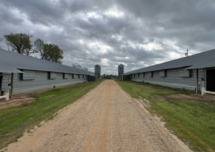 Turn-Key 7 House Broiler Farm in Louisiana - image 26