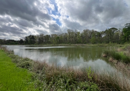Turn-Key 7 House Broiler Farm in Louisiana - image 41