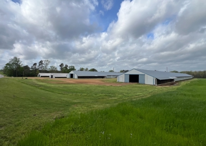 Turn-Key 7 House Broiler Farm in Louisiana - image 19