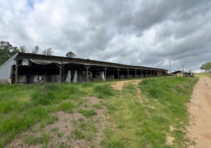 Turn-Key 7 House Broiler Farm in Louisiana - image 5