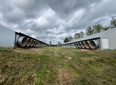 Turn-Key 7 House Broiler Farm in Louisiana - image 8