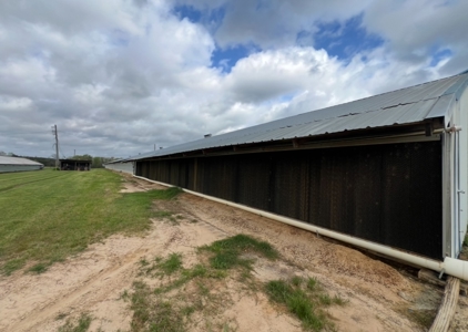Turn-Key 7 House Broiler Farm in Louisiana - image 4