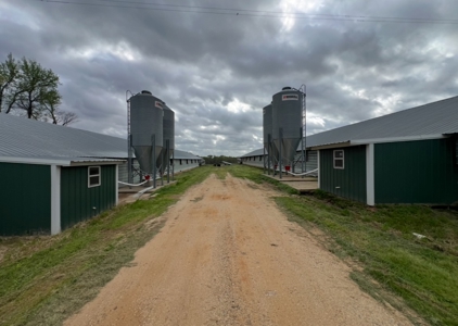Turn-Key 7 House Broiler Farm in Louisiana - image 28