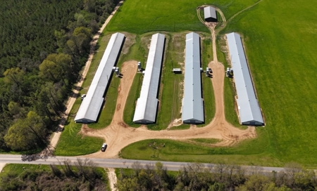Turn-Key 7 House Broiler Farm in Louisiana - image 2