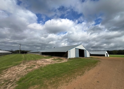 Turn-Key 7 House Broiler Farm in Louisiana - image 17