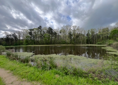 Turn-Key 7 House Broiler Farm in Louisiana - image 45