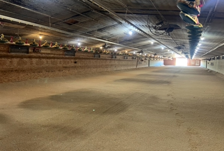 Turn-Key 7 House Broiler Farm in Louisiana - image 39
