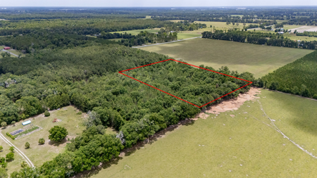 5 Acres of Vacant Land For Sale in Trenton, FL - image 1
