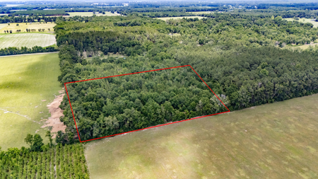 5 Acres of Vacant Land For Sale in Trenton, FL - image 7