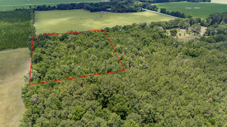 5 Acres of Vacant Land For Sale in Trenton, FL - image 12
