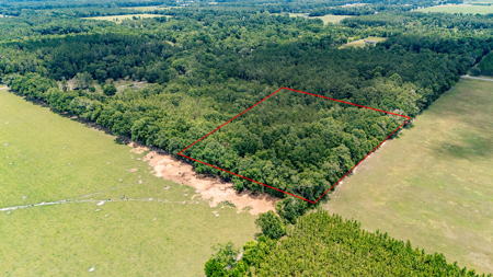5 Acres of Vacant Land For Sale in Trenton, FL - image 8