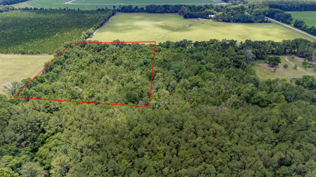 5 Acres of Vacant Land For Sale in Trenton, FL - image 11