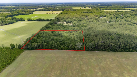 5 Acres of Vacant Land For Sale in Trenton, FL - image 6