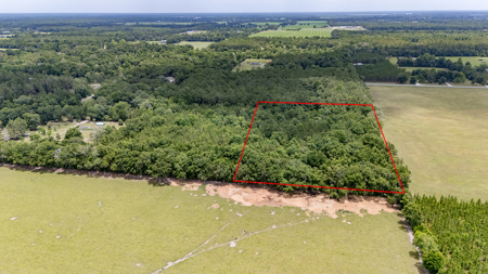 5 Acres of Vacant Land For Sale in Trenton, FL - image 9