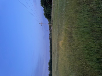 186 Acres of Land with Rolling Meadows & Workshop!!! - image 21