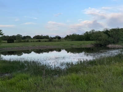 186 Acres of Land with Rolling Meadows & Workshop!!! - image 9