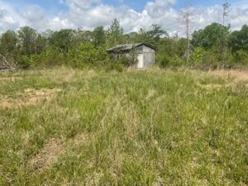 Shed