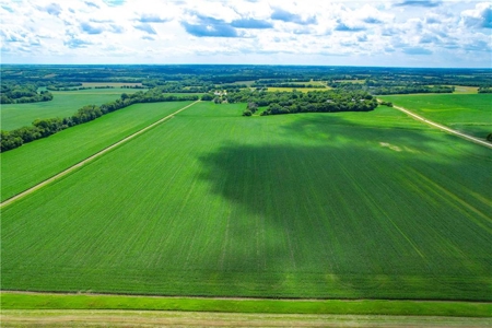 415.5+/- Acres Highly Tillable Grundy County MO Row Crop Farm - image 2