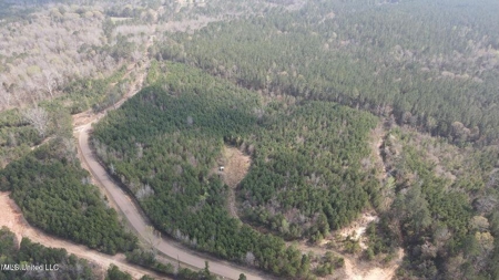 14 Acre Homesite Madison County Camden, MS - image 2