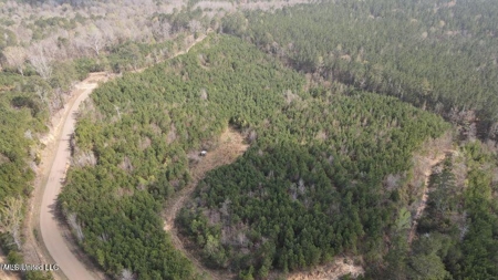 14 Acre Homesite Madison County Camden, MS - image 1