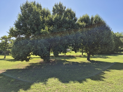 Country Home & Acreage for Sale, Perry, OK Noble County - image 6