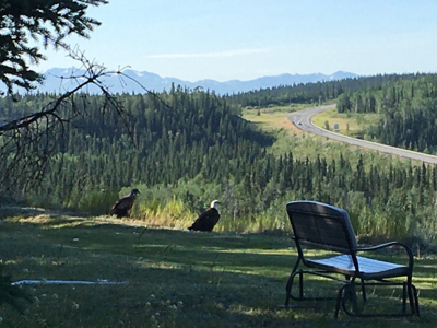 Riverfront Property for Sale near Copper Center, Alaska - image 3