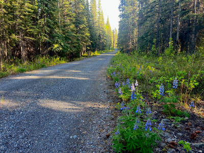 Riverfront Property for Sale near Copper Center, Alaska - image 10