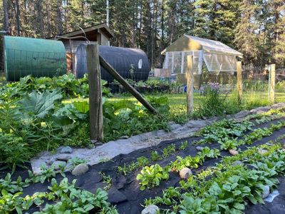 Riverfront Property for Sale near Copper Center, Alaska - image 18