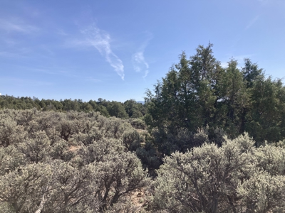5.8 Acres with Stunning Brazos Cliff Views in Gated Laguna Vista - image 3