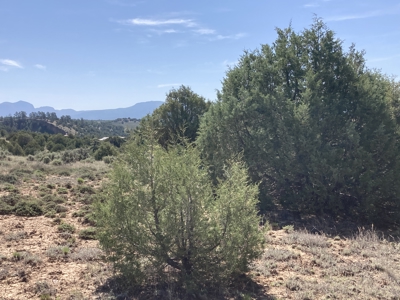 5.8 Acres with Stunning Brazos Cliff Views in Gated Laguna Vista - image 12