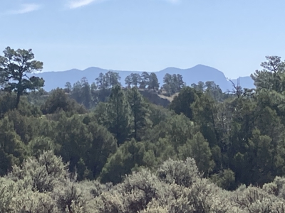 5.8 Acres with Stunning Brazos Cliff Views in Gated Laguna Vista - image 4