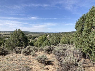 5.8 Acres with Stunning Brazos Cliff Views in Gated Laguna Vista - image 10