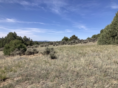 5.8 Acres with Stunning Brazos Cliff Views in Gated Laguna Vista - image 15