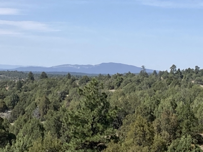 5.8 Acres with Stunning Brazos Cliff Views in Gated Laguna Vista - image 11