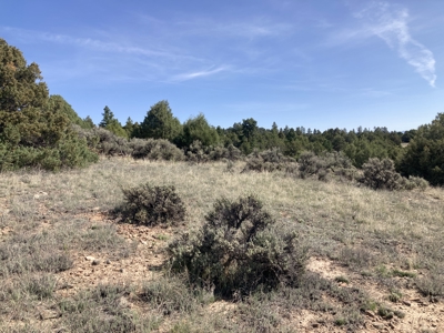 5.8 Acres with Stunning Brazos Cliff Views in Gated Laguna Vista - image 6
