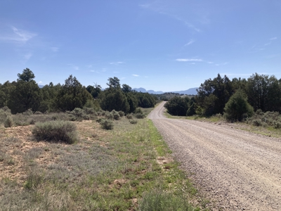 5.8 Acres with Stunning Brazos Cliff Views in Gated Laguna Vista - image 16