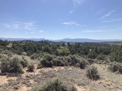 5.8 Acres with Stunning Brazos Cliff Views in Gated Laguna Vista - image 9