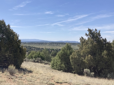 5.8 Acres with Stunning Brazos Cliff Views in Gated Laguna Vista - image 13