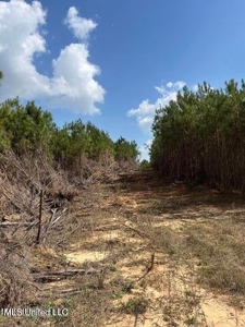52 Acre Homesite Madison County Camden, MS - image 11
