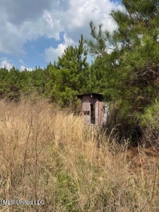 52 Acre Homesite Madison County Camden, MS - image 5