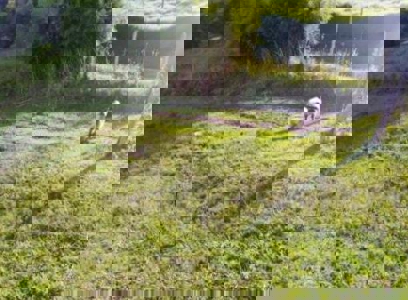 Premium and Exclusive Land Lot in El Tablazo, Near Equinox - image 4